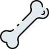 Chew Toys