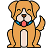 Dog Products