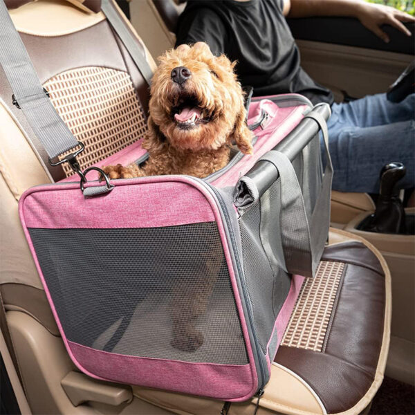 Large-capacity double cat handbag - Image 2
