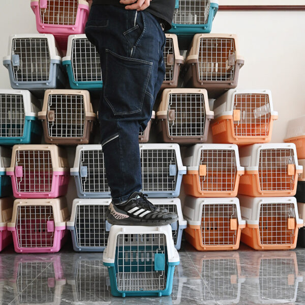 Pet shipping box - Image 2