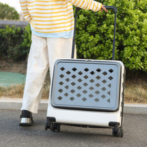 Ventilated Pull Handle Pet Carrier