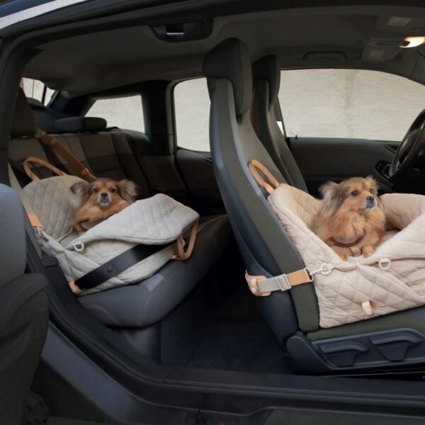 Pet carrier with removable pet pad