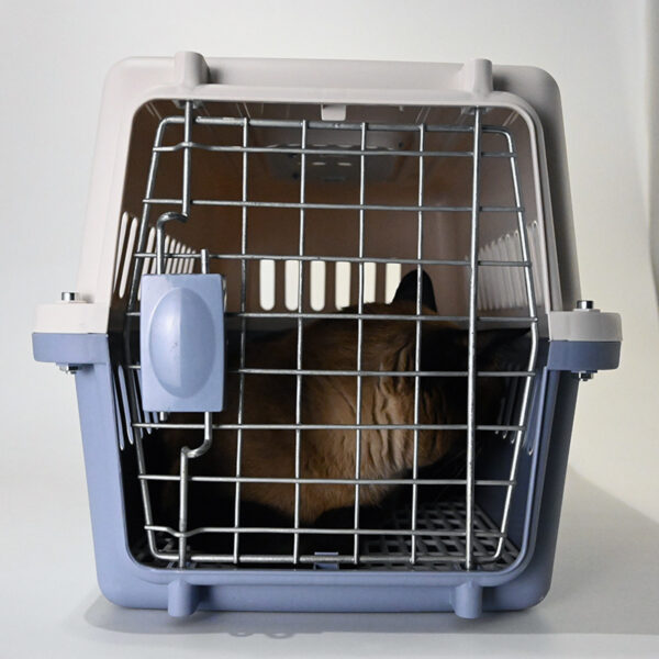 Pet shipping box - Image 5