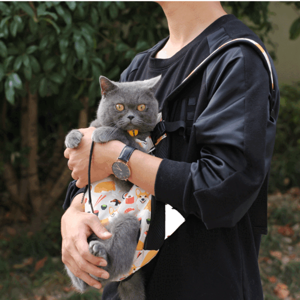 Pet travel bag with a lightweight shoulder strap for easy carrying - Image 2