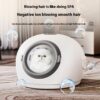 Automatic drying oven