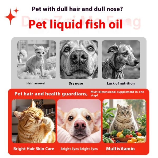 Pet fish oil - Image 2