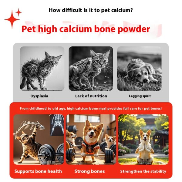 Calcium Fortifying Powder for Bone Strengthening - Image 2