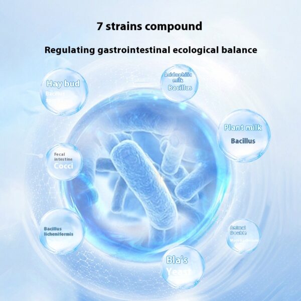 Gastrointestinal Health Regulating Capsules - Image 3