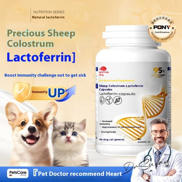 Lactoferrin Capsules