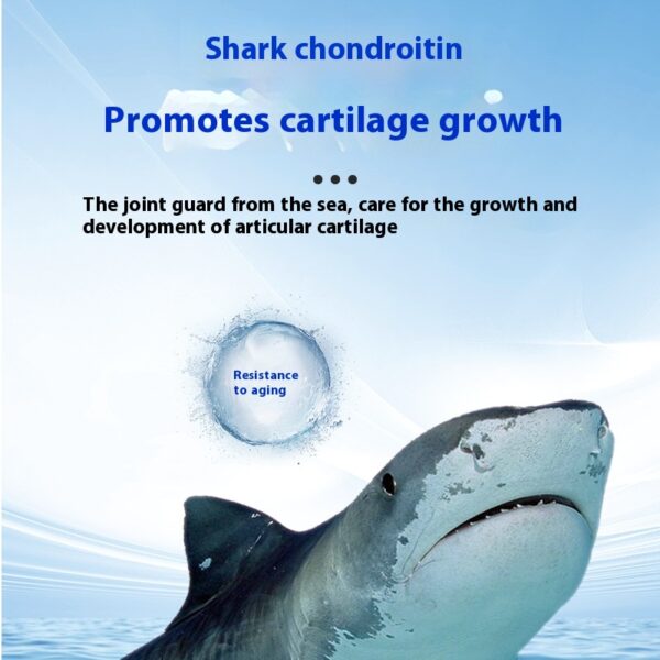 Shark chondroitin lecithin - Image 2