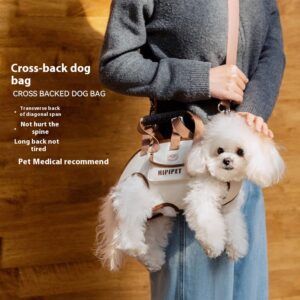 Pet portable dual-purpose handbag