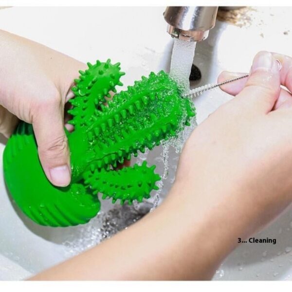 Grinding teeth to bite through cacti - Image 2