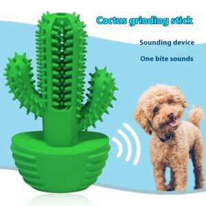 Grinding teeth to bite through cacti