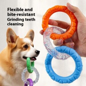 Dog's chewing on the tension ring of the leash