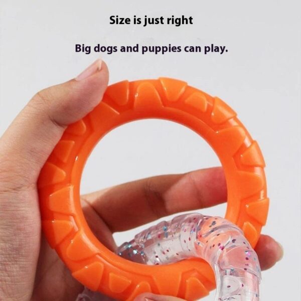 Dog's chewing on the tension ring of the leash - Image 3