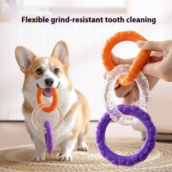 Dog's chewing on the tension ring of the leash - Image 2