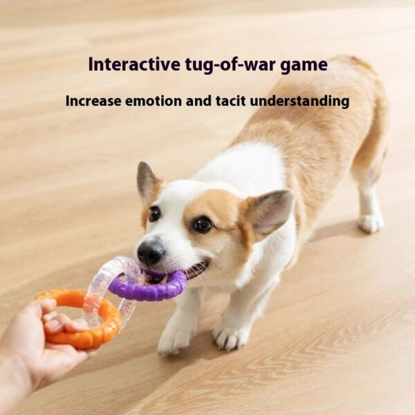 Dog's chewing on the tension ring of the leash - Image 4