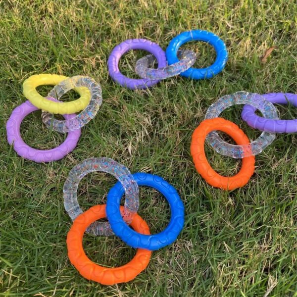 Dog's chewing on the tension ring of the leash - Image 6