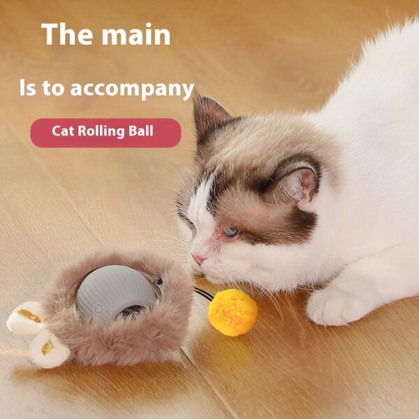 Automatic plush cat toy ball