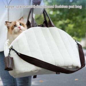 Pet bag with detachable pet pad