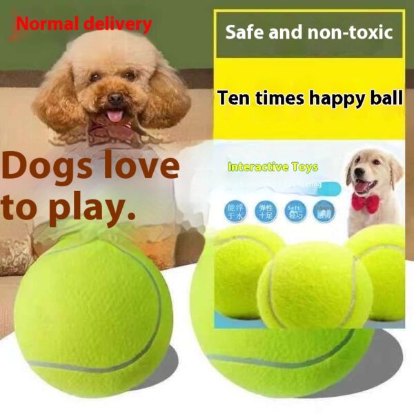 Elastic Ball for Dogs - Image 2