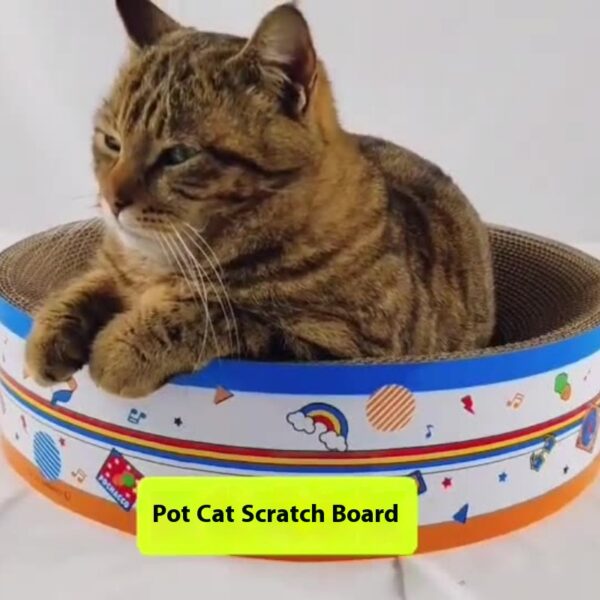 Round basin-shaped cat scratching board