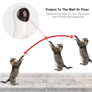 Cat teasing laser pointer