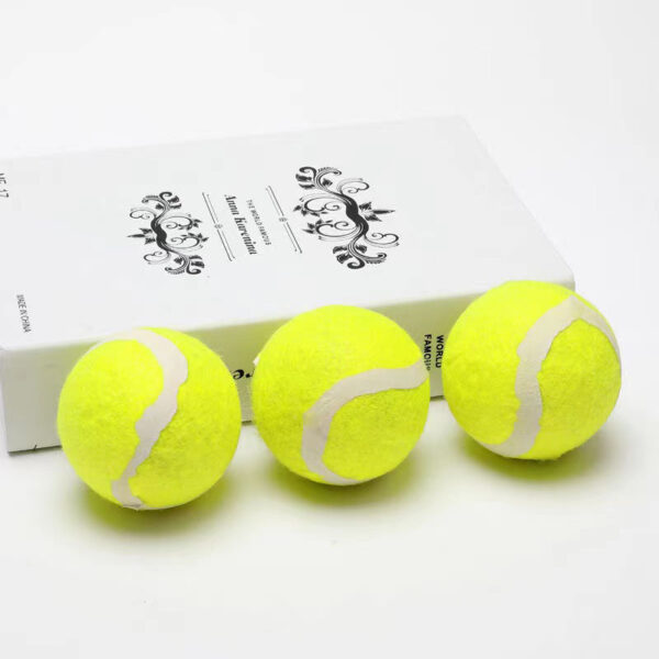 Elastic Ball for Dogs - Image 3