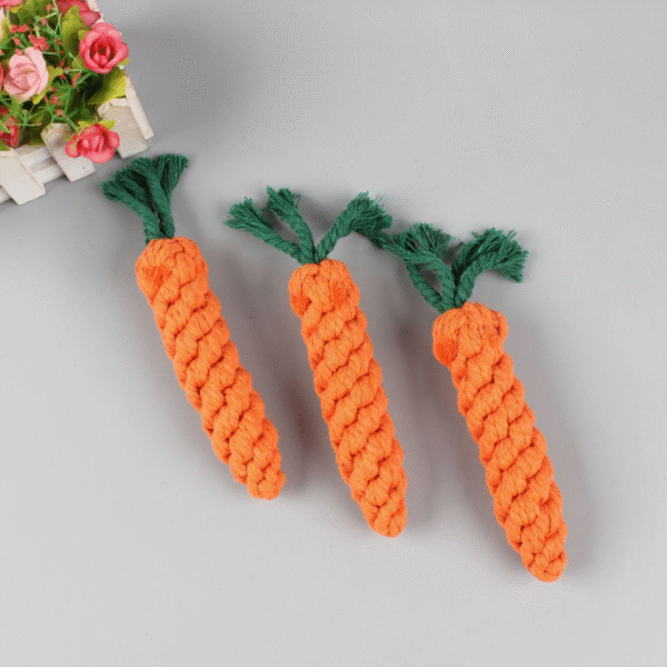 Carrot woven with cotton rope - Image 3