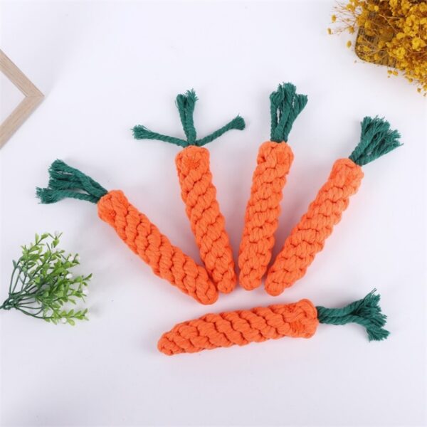 Carrot woven with cotton rope - Image 2