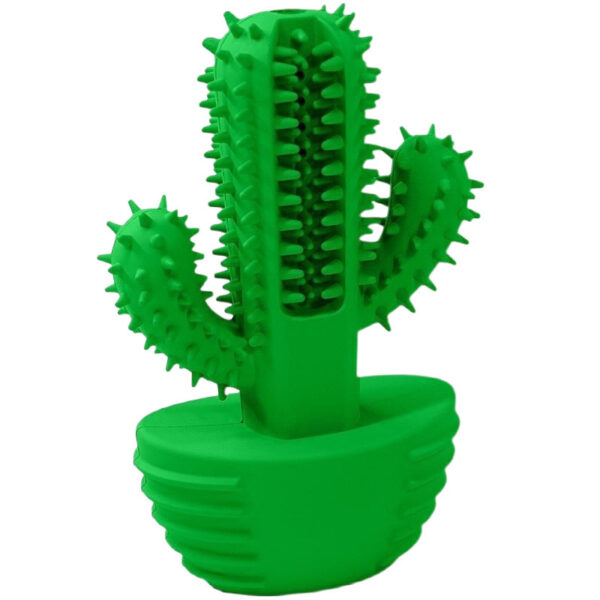 Grinding teeth to bite through cacti - Image 4