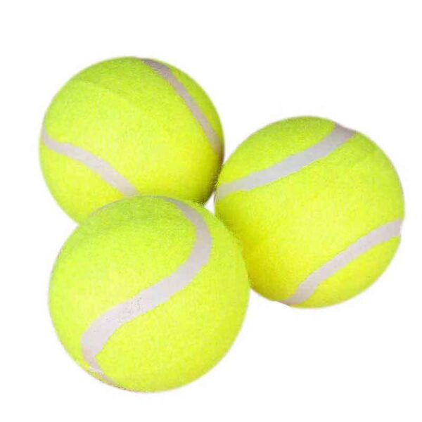 Elastic Ball for Dogs - Image 4
