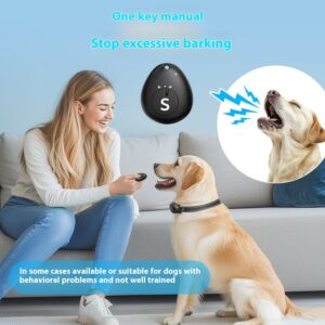 Pet anti-barking device
