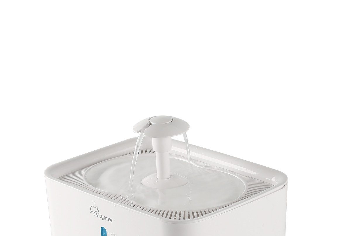 How to Choose the Best Pet Drinking Fountain: Keep Your Pet Hydrated and Healthy