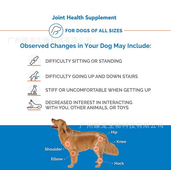 Pet joint supplements - Image 3