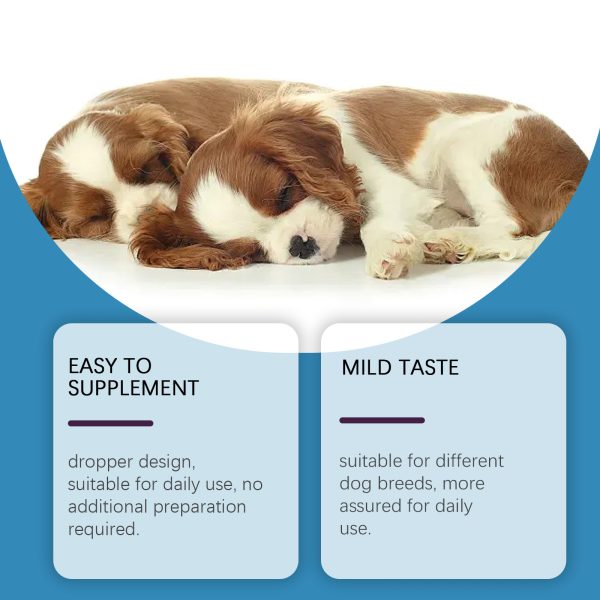 Dog Sleep Aid - Image 5