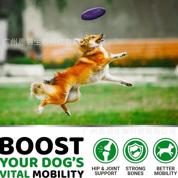 Pet joint supplements - Image 4