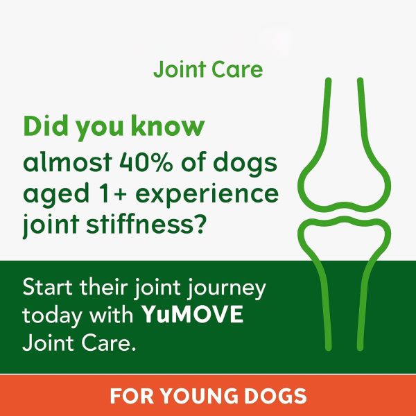 Pet joint supplements - Image 4