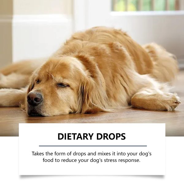 Dog Sleep Aid - Image 4