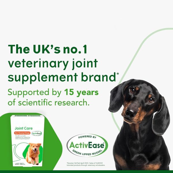 Pet joint supplements - Image 3