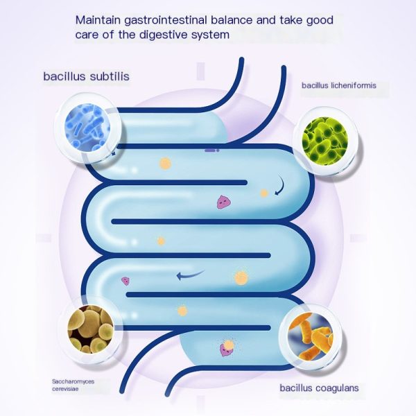 Active composite probiotic powder - Image 4