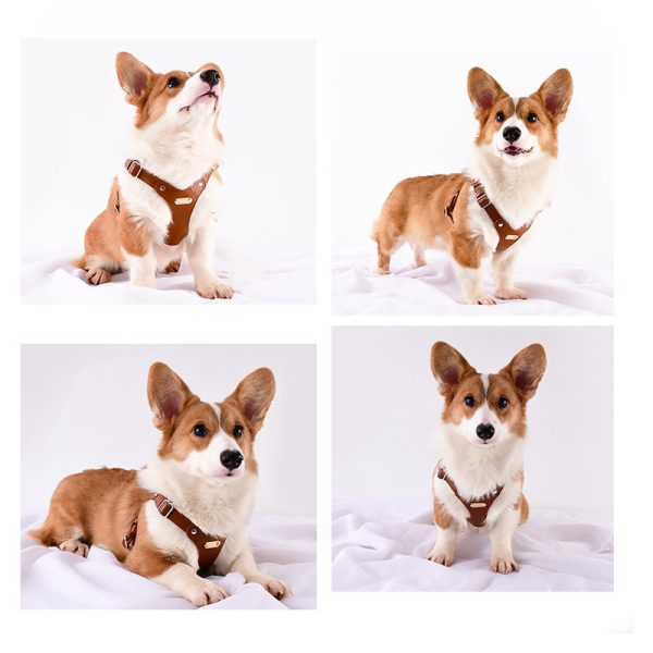 Pet Harness - Image 4