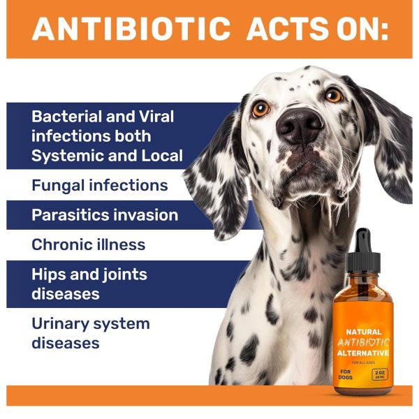 Antibiotic drops - Image 4