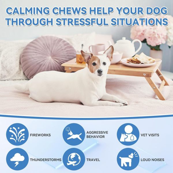 Dog Chewable Tablets - Image 4
