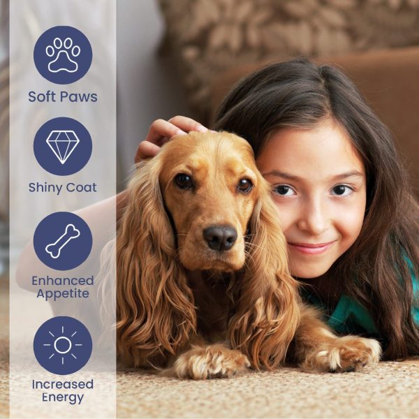 Pet fish oil, Norwegian salmon oil - Image 3