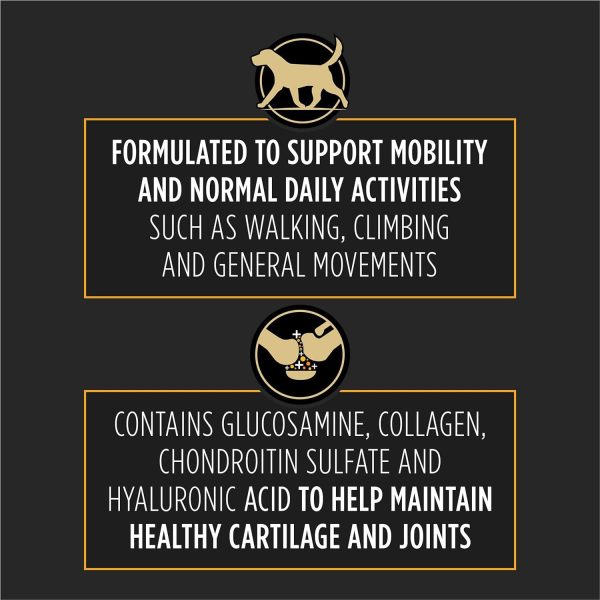 Pet Joint Care Supplements - Image 5