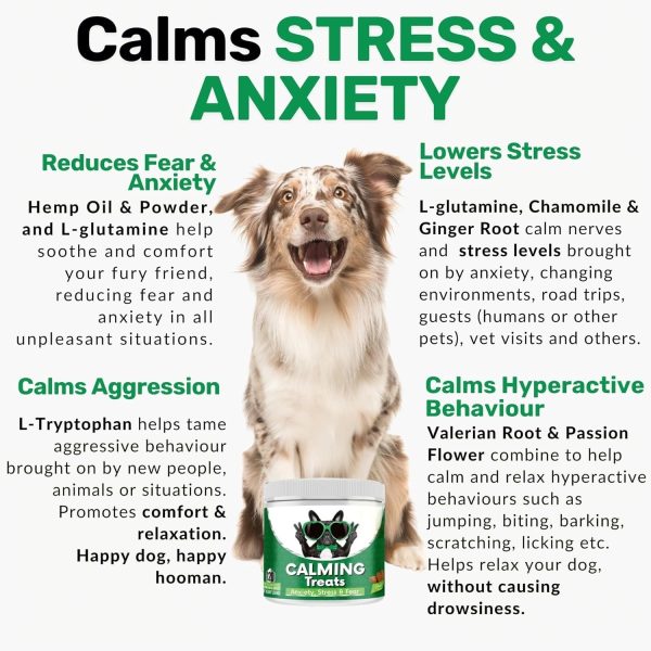 Pet Itching Relief Chewable Tablets - Image 2
