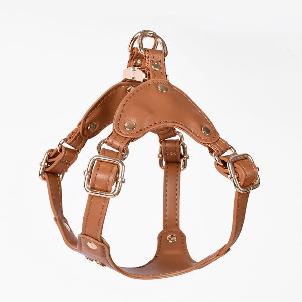 Pet Harness