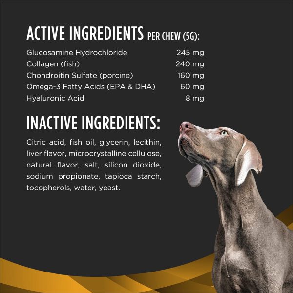 Pet Joint Care Supplements - Image 4