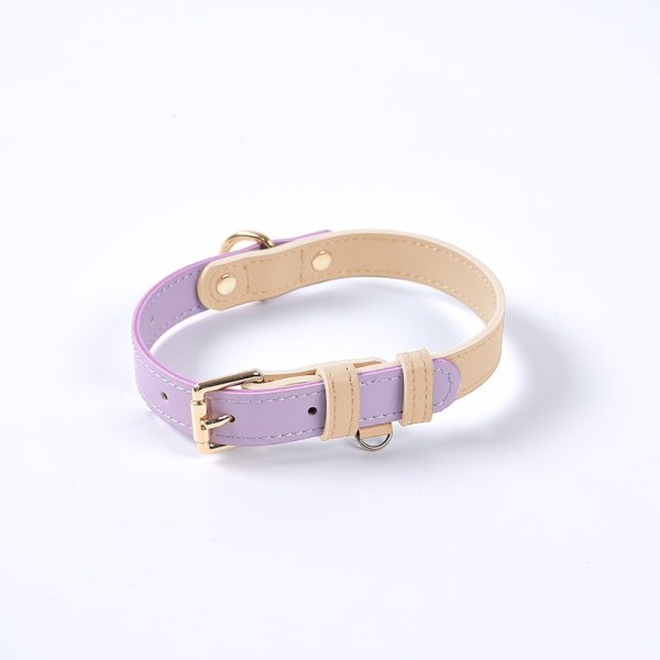Pet Collar Twilight Purple